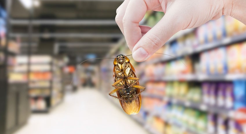零售业有害生物防治